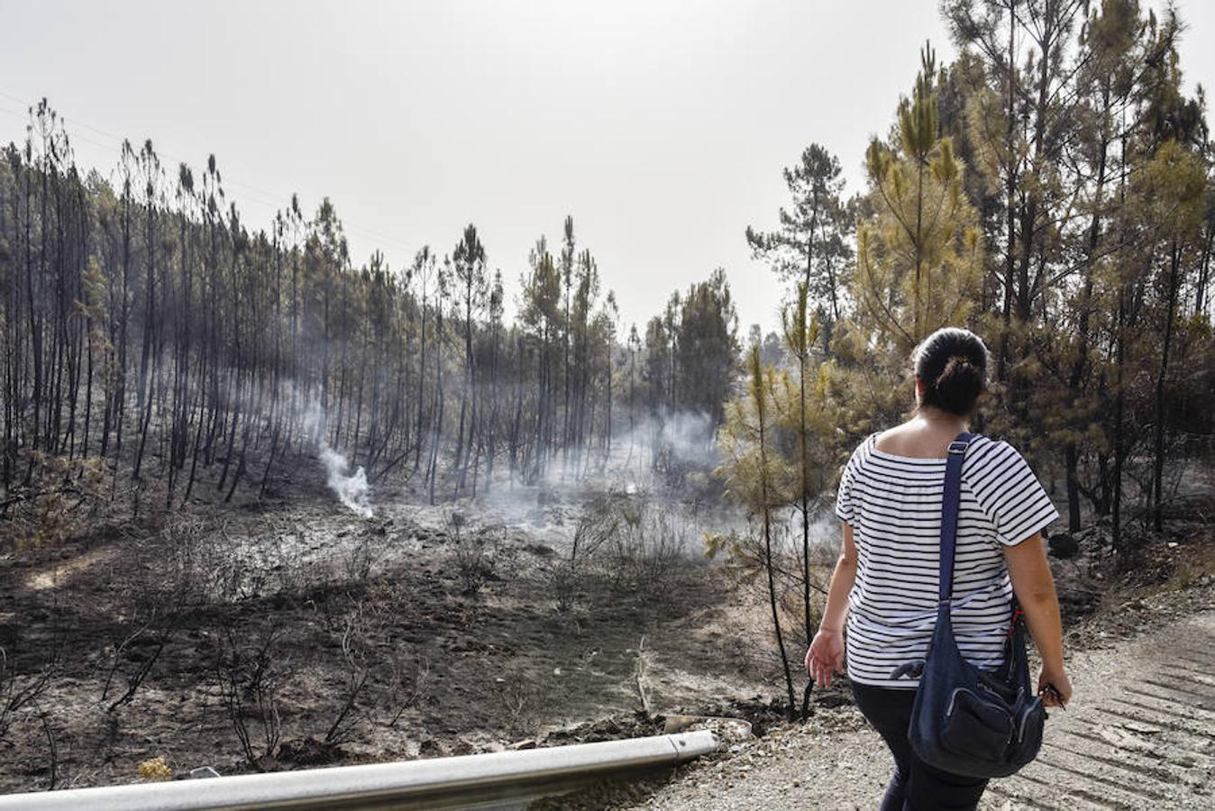 El fuego, el peor del verano en Extremadura, calcinó parte del Valle de Jola y quedó controlado ayer a última hora