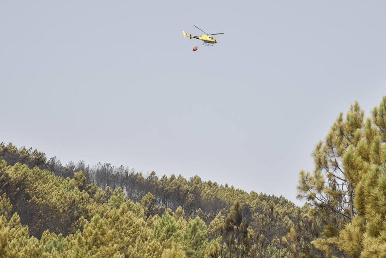 El fuego, el peor del verano en Extremadura, calcinó parte del Valle de Jola y quedó controlado ayer a última hora