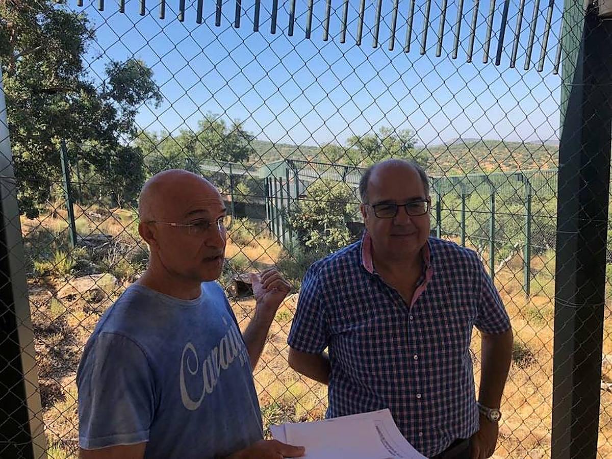 En el centro, además de ver linces ibéricos, también es posible contemplar águilas imperiales, águilas reales, buitres negros, buitres leonados, ginetas y nutrias, entre otros animales