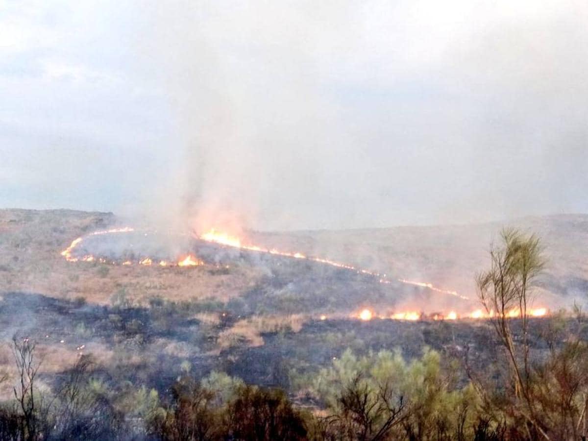 Fotos: Los agentes actuando para apagar el incendio que ha afectado a Mata de Alcántara