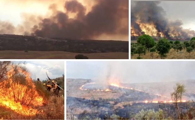 Imágenes del incendio que ha afectado a Mata de Alcántara