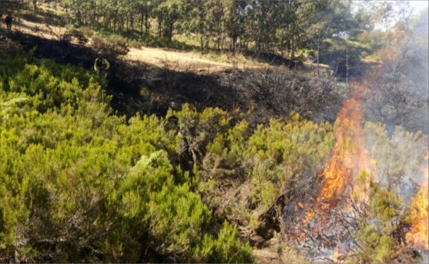 Un bombero forestal trabajando en un foco de la zona incendiada:: ATBRIF