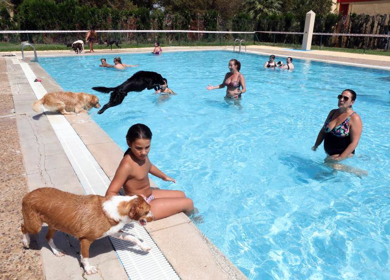 Esta iniciativa se ha desarrollado este sábado en la piscina de Nueva Ciudad