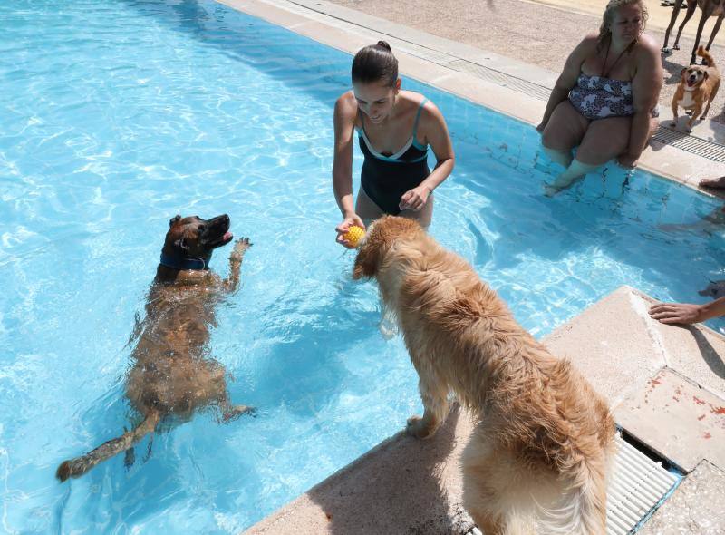 Esta iniciativa se ha desarrollado este sábado en la piscina de Nueva Ciudad