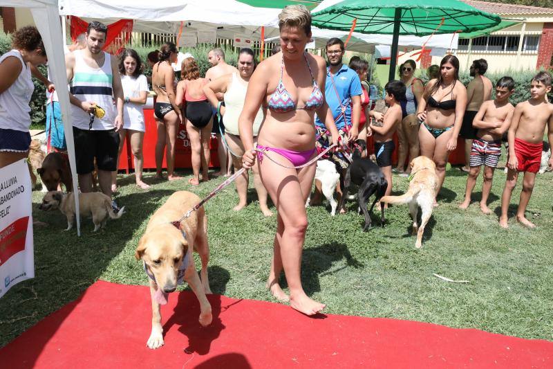 Esta iniciativa se ha desarrollado este sábado en la piscina de Nueva Ciudad