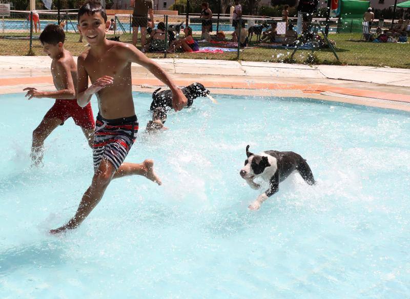 Esta iniciativa se ha desarrollado este sábado en la piscina de Nueva Ciudad