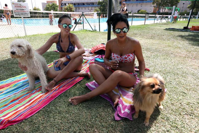 Esta iniciativa se ha desarrollado este sábado en la piscina de Nueva Ciudad