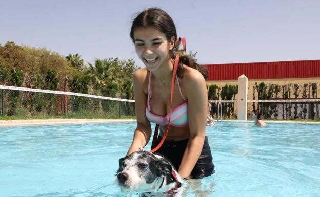 Los perros de Mérida cierran la temporada de piscinas