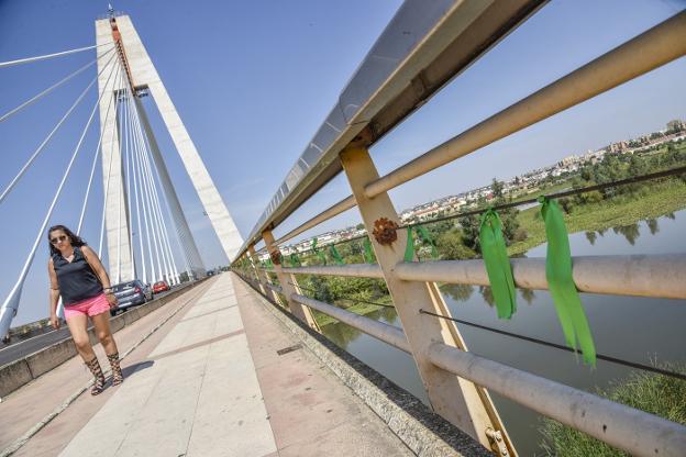 Algunos lazos verdes colocados en el Puente Real. :: j. v. arnelas