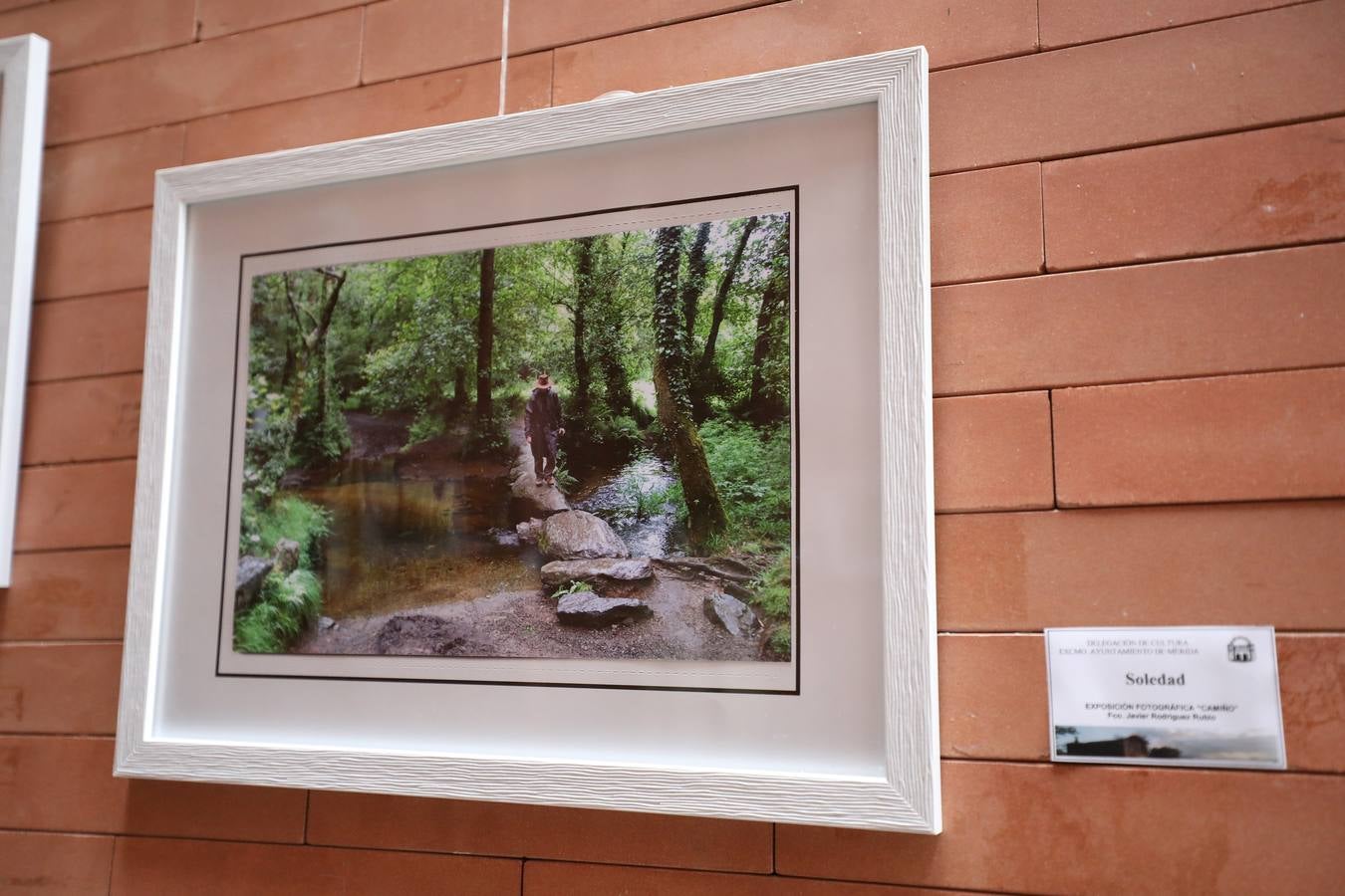 En el centro cultural Alcazaba de Mérida se puede visitar la exposición CAMINHO, del fotógrafo emeritense Francisco Javier Rodríguez. Es una colección 26 fotografías del Camino de Santiago, rutas y caminos. Hasta el 10 de septiembre se podrá disfrutar