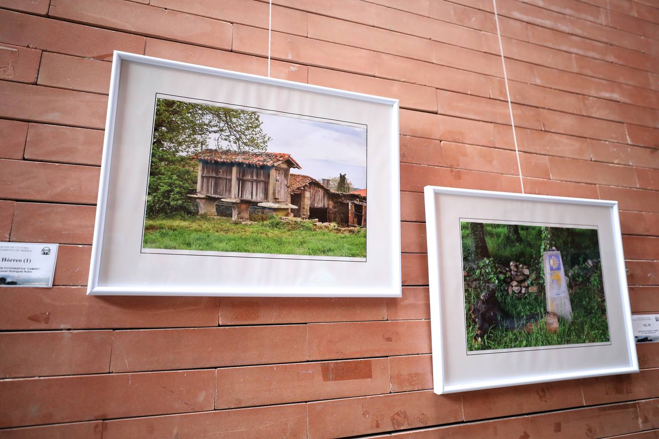 En el centro cultural Alcazaba de Mérida se puede visitar la exposición CAMINHO, del fotógrafo emeritense Francisco Javier Rodríguez. Es una colección 26 fotografías del Camino de Santiago, rutas y caminos. Hasta el 10 de septiembre se podrá disfrutar