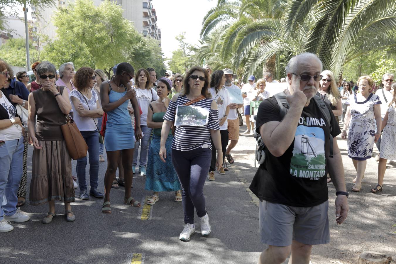 Han pedido que se detenga y reconsidere la reforma de esta avenida que supone retirar del centro de la ciudad a 78 ejemplares