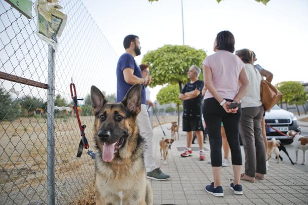 Usuarios del parque canino de Mejostilla, ayer reunidos con Luis Salaya. :: armando méndez