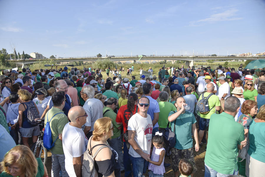 Desplegaron un gran lazo verde en el Puente de la Autonomía y anunciaron que realizarán concentraciones cada 15 días