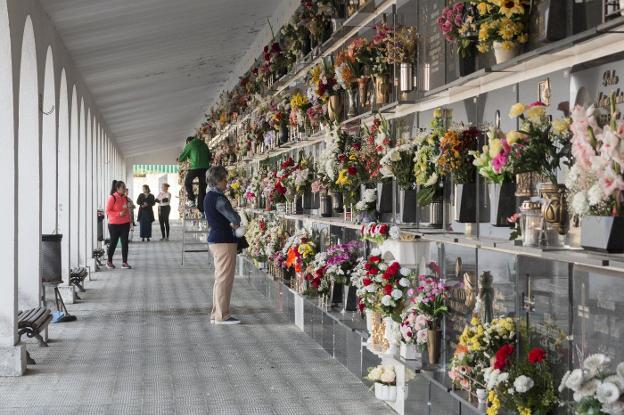 Nichos en el cementerio de Plasencia. :: Hoy