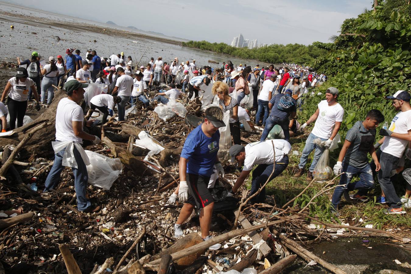 Miles de ciudadanos participaron en Panamá en una limpieza de playas con el objetivo de darle visibilidad al grave problema medioambiental de la contaminación de los océanos, y crear conciencia sobre la importancia de reducir el consumo de plásticos y hacer una buena disposición de los residuos. 