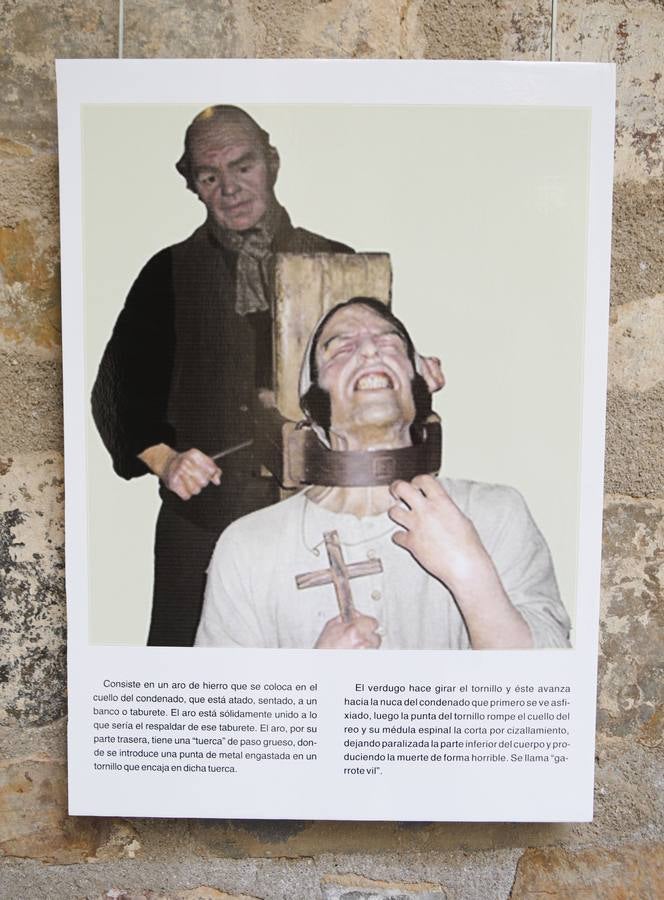 Lámina de la muestra. (Foto Armando).