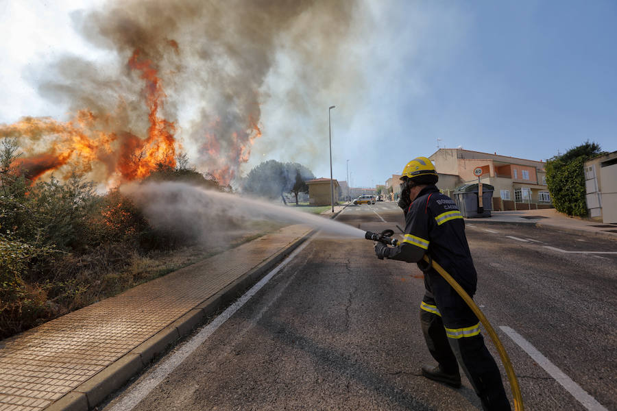 Uno de los fuegos se ha producido a unos metros de las viviendas del Residencial Universidad