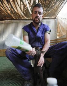 Imagen secundaria 2 - Julián Tena es uno de los ganaderos extremeños de caprino.: