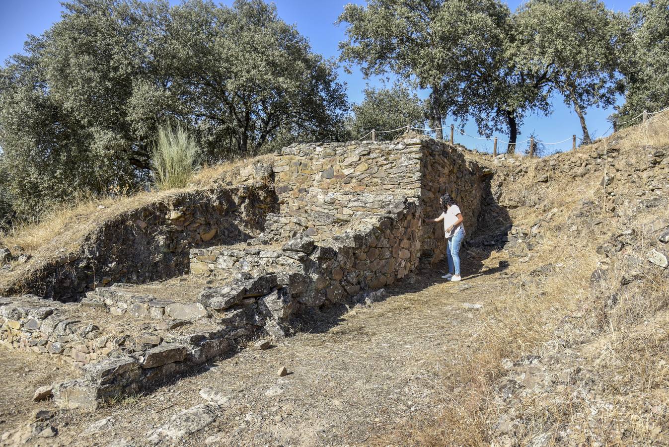 Junto a Higuera la Real se halla el Castrejón de Capote. Un yacimiento Celta en el que se pueden contemplar restos de viviendas, murallas, talleres y un pequeño santuario. Aunque los primeros indicios de población en estas tierras datan del periodo Calcolítico, los restos que se pueden visitar en este castro pertenecen a la etapa comprendida entre los siglos V y I antes de Cristo.