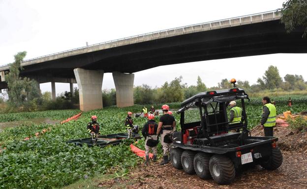 Galería. La UME ya trabaja contra el camalote en Extremadura