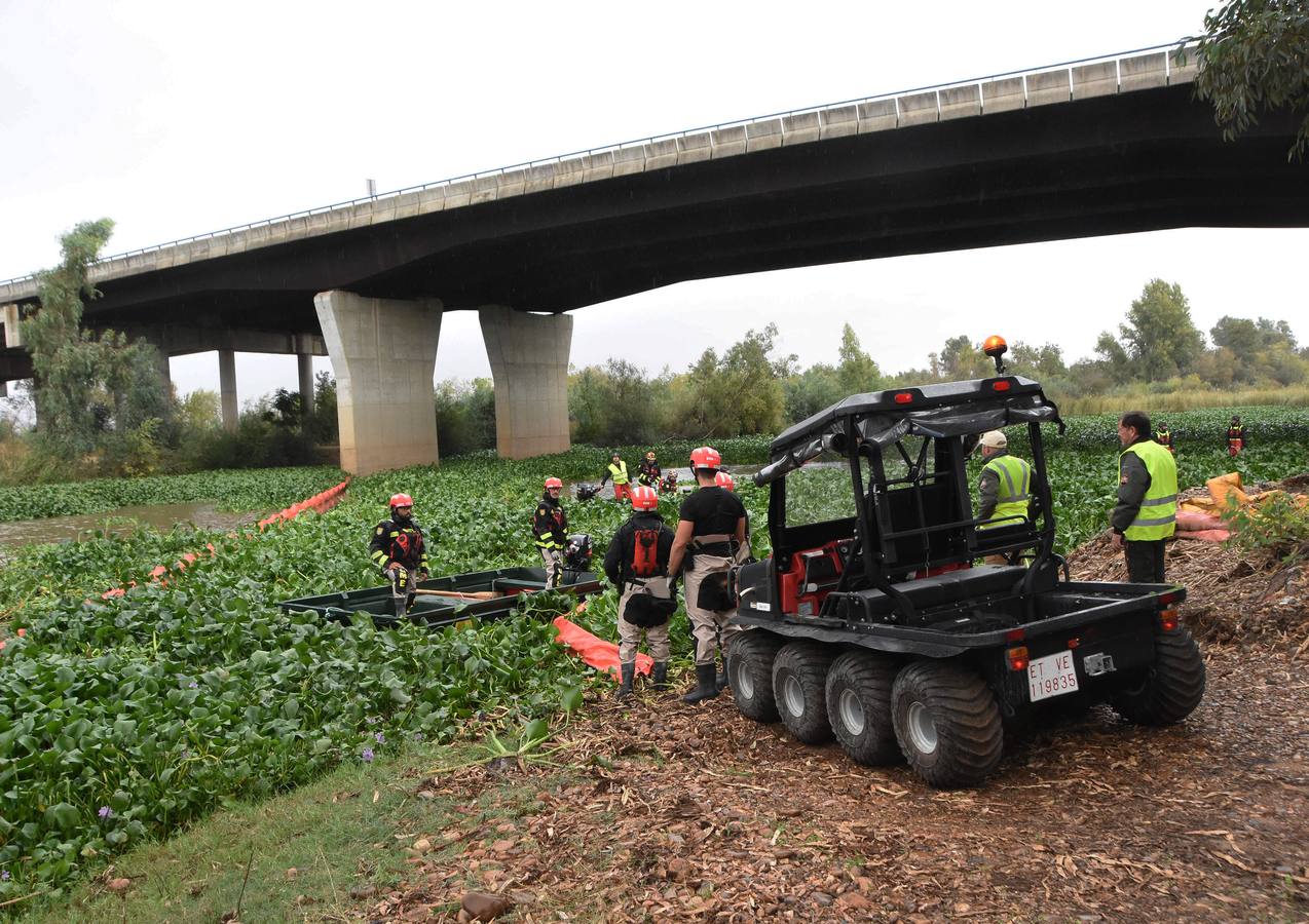 Los militares de la Unidad Militar de Emergencias (UME) ya están en Badajoz para llevar a cabo la retirada de las plantas del camalote en el río Guadiana. Las labores de extracción comenzarán por el cauce del río a su paso por la capital pacense aunque se extenderán a lo largo de 176 kilómetros de recorrido.