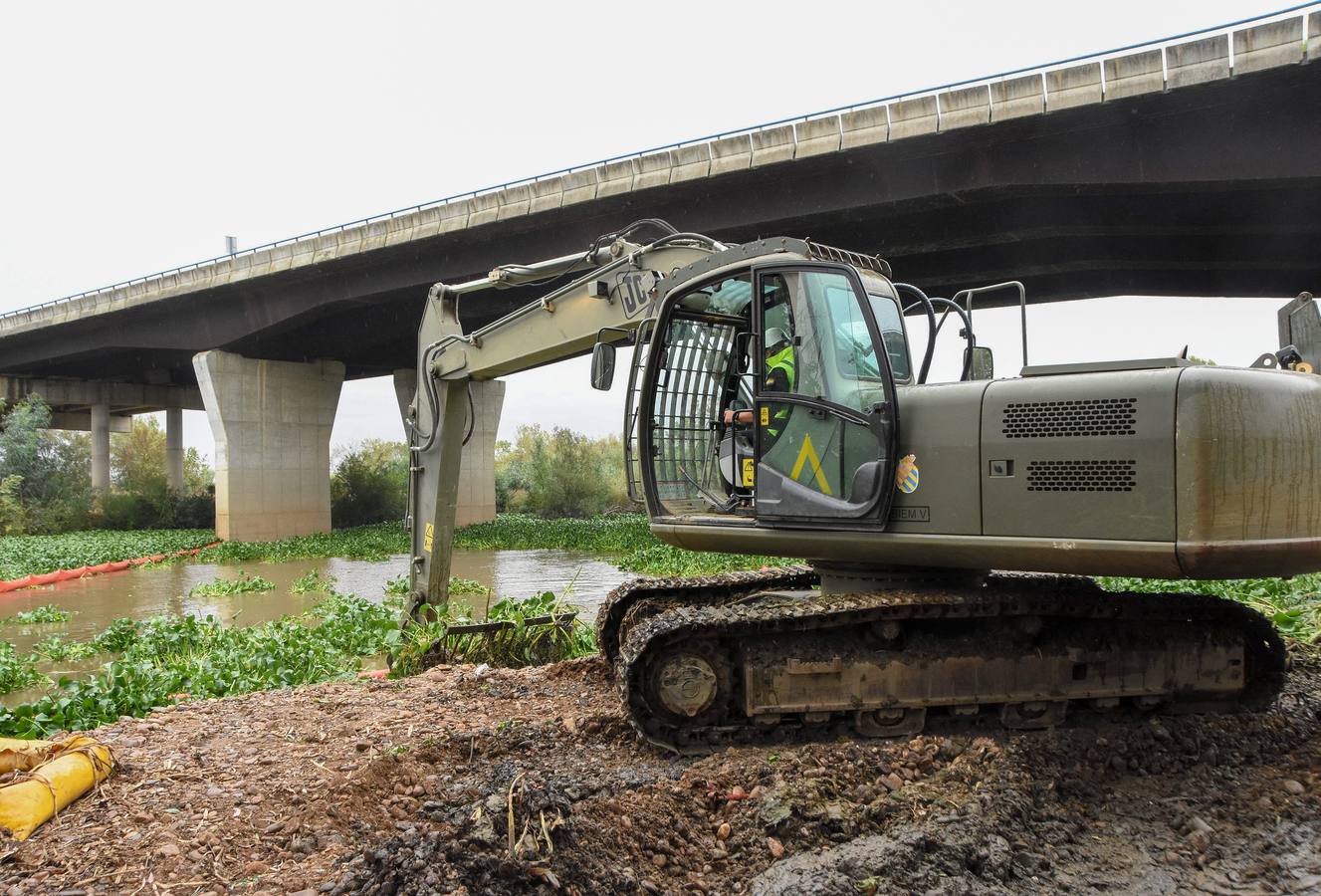 Los militares de la Unidad Militar de Emergencias (UME) ya están en Badajoz para llevar a cabo la retirada de las plantas del camalote en el río Guadiana. Las labores de extracción comenzarán por el cauce del río a su paso por la capital pacense aunque se extenderán a lo largo de 176 kilómetros de recorrido.