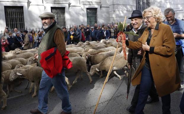 La alcaldesa de Madrid, Manuela Carmena, acompañó al rebaño y a los pastores.