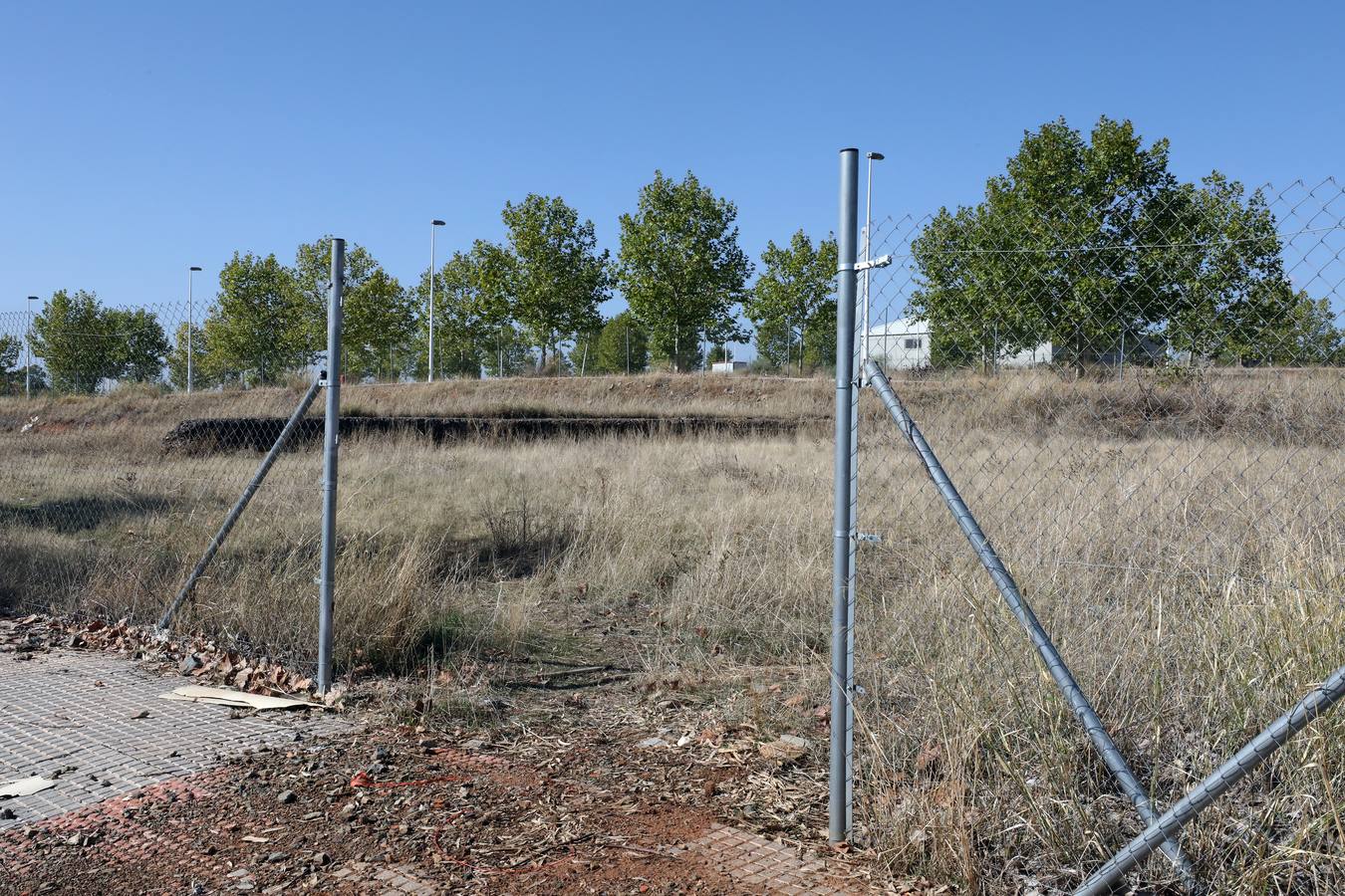 Vecinos y trabajadores de la calle del Palo, situada en la Zona Norte de Mérida y paralela a la avenida de Proserpina, critican «la dejadez » de la zona y piden a los responsables municipales que se hagan cargo de la mejora de esta parte de la ciudad. Se quejan «de los escombros y de todo tipo de enseres que se encuentran en las cunetas, de la basura que hay en el entorno, de las papeleras llenas, del mal asfaltado de las calles y, en general, de la falta de cuidado y atención por parte del Ayuntamiento».