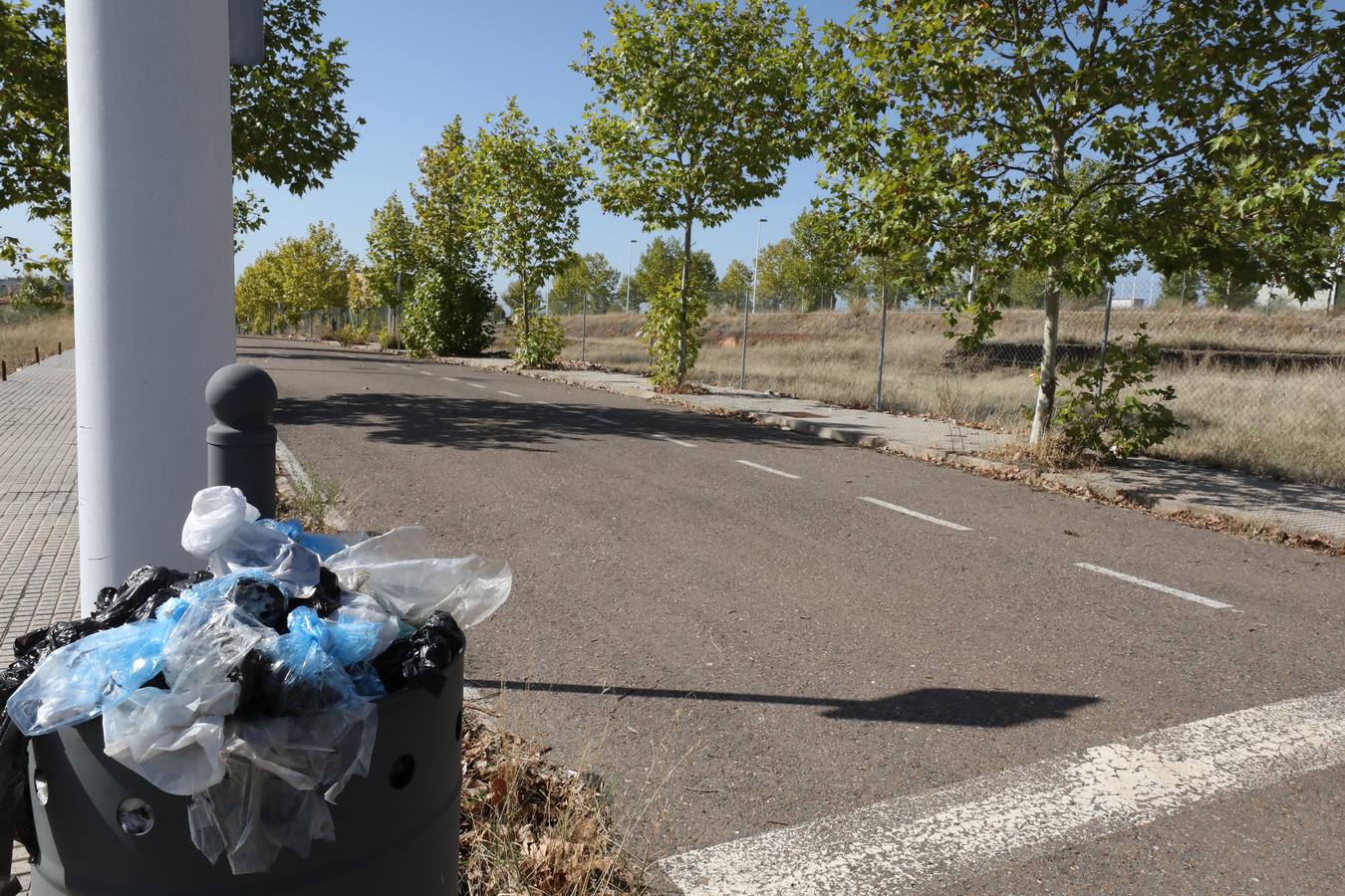 Vecinos y trabajadores de la calle del Palo, situada en la Zona Norte de Mérida y paralela a la avenida de Proserpina, critican «la dejadez » de la zona y piden a los responsables municipales que se hagan cargo de la mejora de esta parte de la ciudad. Se quejan «de los escombros y de todo tipo de enseres que se encuentran en las cunetas, de la basura que hay en el entorno, de las papeleras llenas, del mal asfaltado de las calles y, en general, de la falta de cuidado y atención por parte del Ayuntamiento».