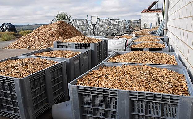 Masa forestal para la producción de biocombustible:: HOY