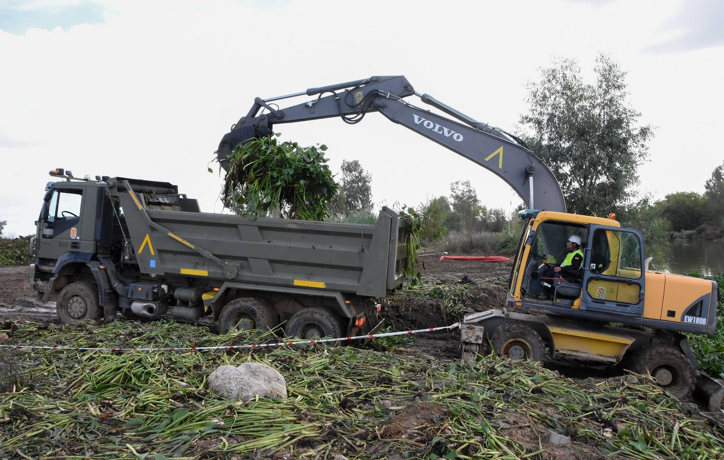 La Unidad Militar de Emergencia continúa con los trabajos de retirada de camalote a la altura de la desembocadura del río Gévora