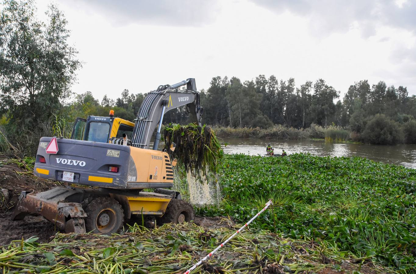 La Unidad Militar de Emergencia continúa con los trabajos de retirada de camalote a la altura de la desembocadura del río Gévora