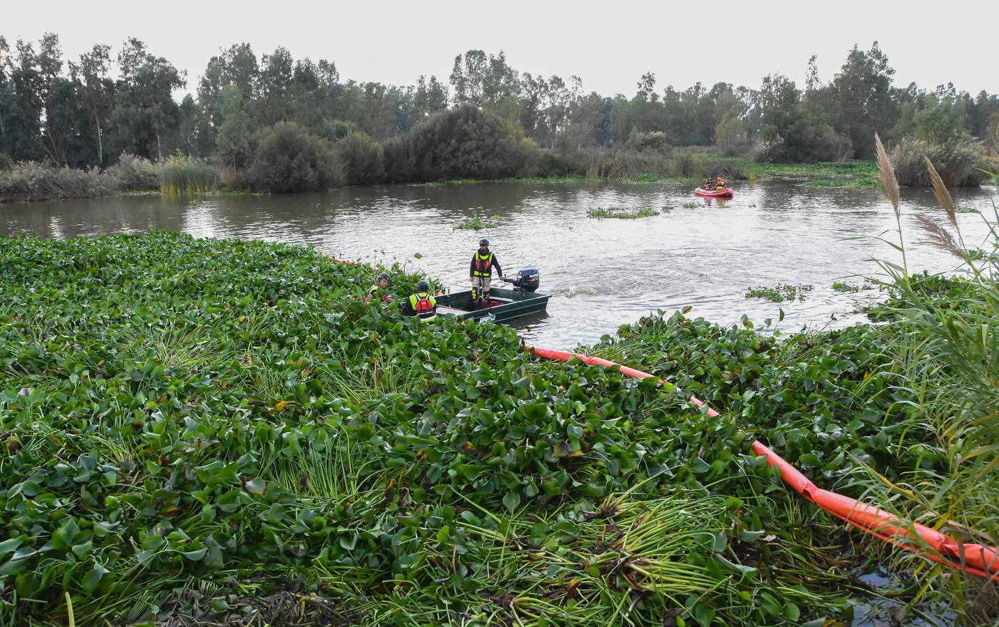 La Unidad Militar de Emergencia continúa con los trabajos de retirada de camalote a la altura de la desembocadura del río Gévora