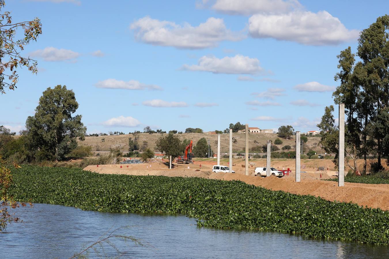 El camalote vuelve a cubrir parte del cauce del tramo urbano de Mérida. A lo largo del pasado fin de semana se ha ido extendiendo una gran mancha que va desde el Puente Romano al Puente Lusitania. Esto se ha producido a la rotura de una de las barreras debido al fuerte viento que sopló el sábado en Mérida