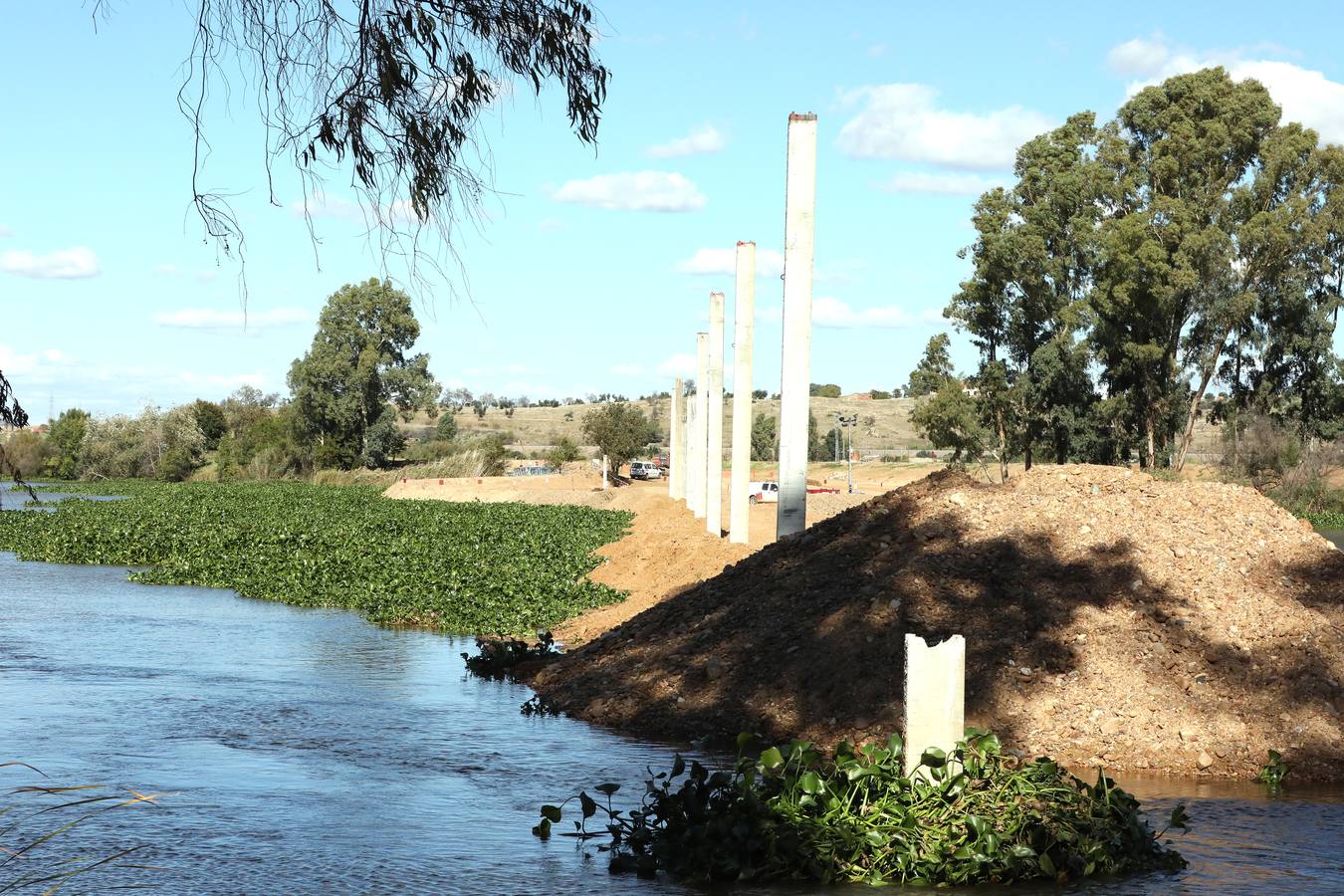 El camalote vuelve a cubrir parte del cauce del tramo urbano de Mérida. A lo largo del pasado fin de semana se ha ido extendiendo una gran mancha que va desde el Puente Romano al Puente Lusitania. Esto se ha producido a la rotura de una de las barreras debido al fuerte viento que sopló el sábado en Mérida