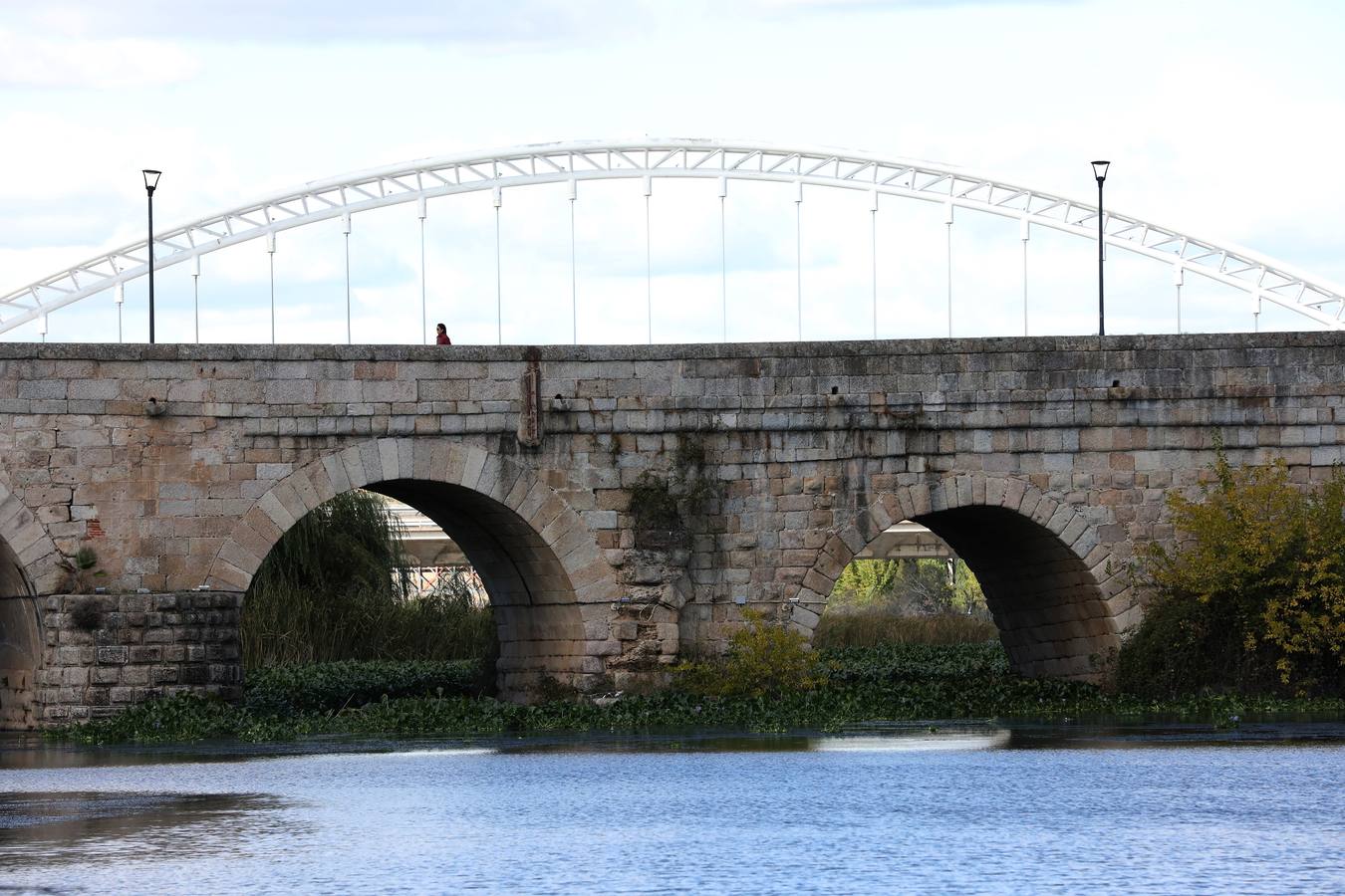 El camalote vuelve a cubrir parte del cauce del tramo urbano de Mérida. A lo largo del pasado fin de semana se ha ido extendiendo una gran mancha que va desde el Puente Romano al Puente Lusitania. Esto se ha producido a la rotura de una de las barreras debido al fuerte viento que sopló el sábado en Mérida