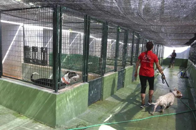 Batallón Perruno cuida a los animales que están en el centro zoosanitario. :: j. m. romero