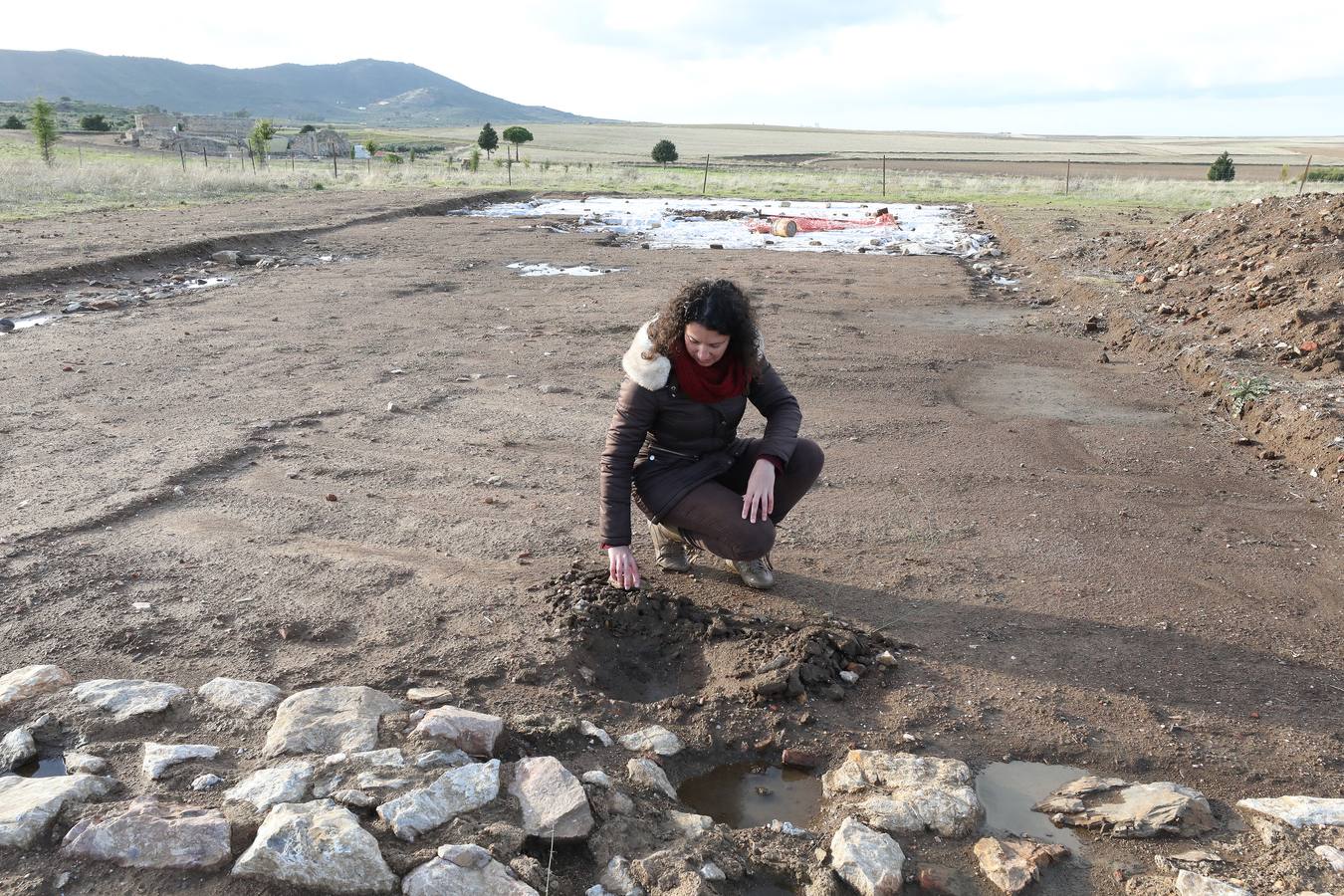 La falta de vigilancia permanente en la antigua ciudad romana, que solo está excavada en una décima parte, hace que haya sido expoliada ocho veces en los últimos once años. Casas de Reina, con 194 habitantes, reclama auxilio. Cincuenta y cuatro es el número de agujeros que sangran el suelo en el que está, gran parte oculta, la antigua ciudad romana de Regina Turdulorum, a 105 kilómetros de Mérida y a unos 150 de Córdoba. Son las perforaciones realizadas por los expoliadores que la pasada semana se dieron una vuelta, como suelen hacer con frecuencia, por la joya arqueológica de la Campiña Sur extremeña prácticamente inédita.