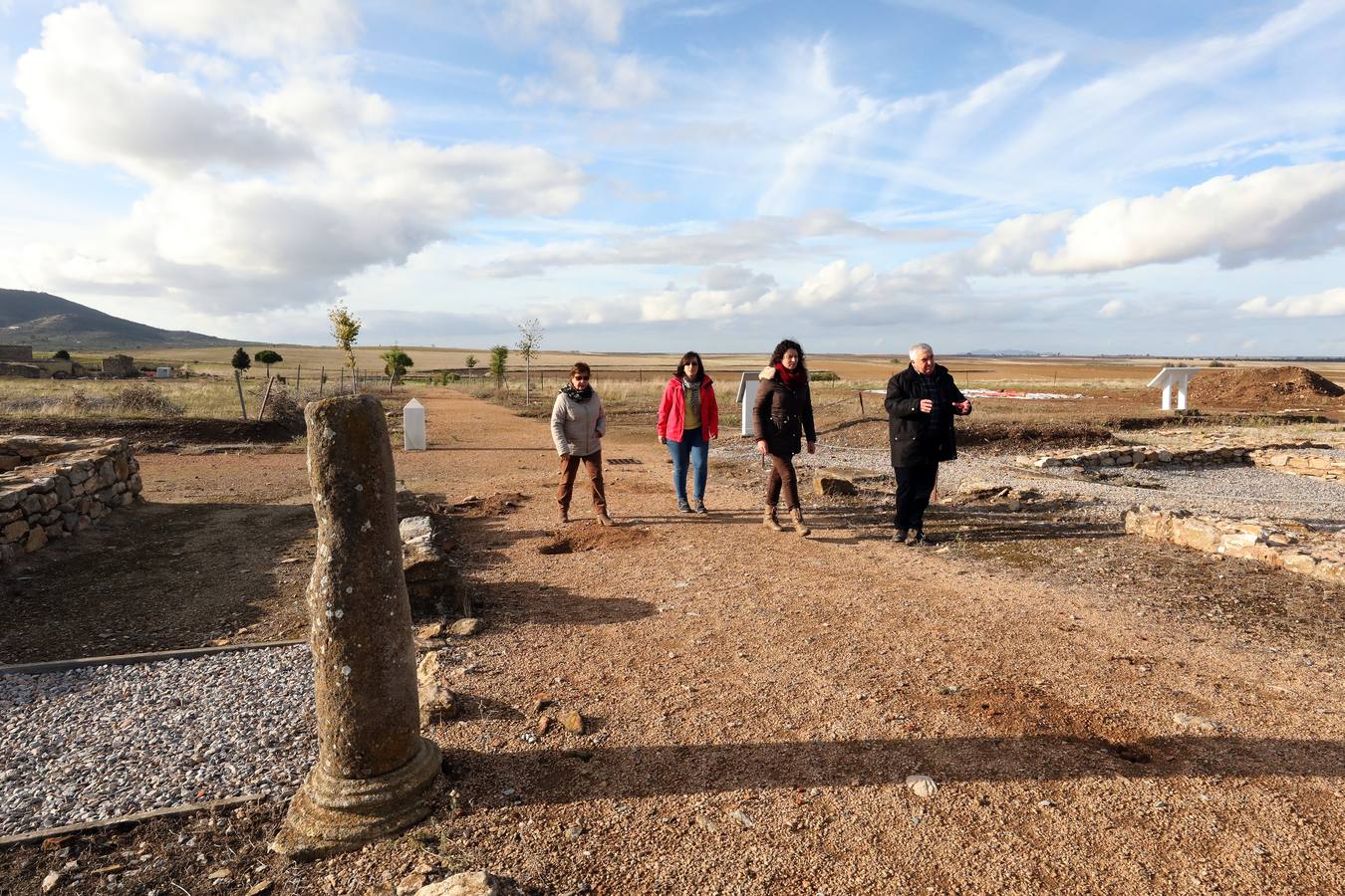 La falta de vigilancia permanente en la antigua ciudad romana, que solo está excavada en una décima parte, hace que haya sido expoliada ocho veces en los últimos once años. Casas de Reina, con 194 habitantes, reclama auxilio. Cincuenta y cuatro es el número de agujeros que sangran el suelo en el que está, gran parte oculta, la antigua ciudad romana de Regina Turdulorum, a 105 kilómetros de Mérida y a unos 150 de Córdoba. Son las perforaciones realizadas por los expoliadores que la pasada semana se dieron una vuelta, como suelen hacer con frecuencia, por la joya arqueológica de la Campiña Sur extremeña prácticamente inédita.