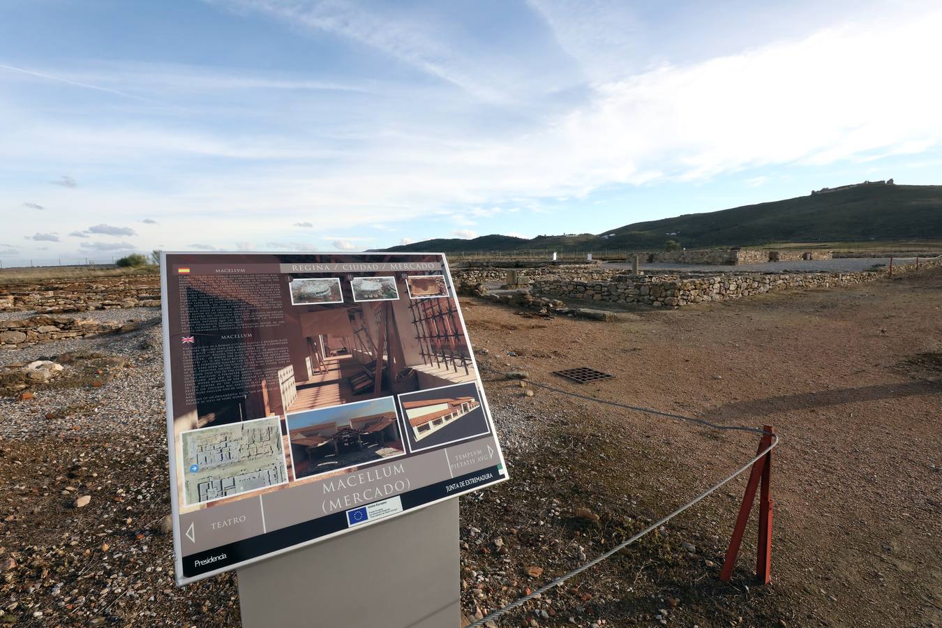 La falta de vigilancia permanente en la antigua ciudad romana, que solo está excavada en una décima parte, hace que haya sido expoliada ocho veces en los últimos once años. Casas de Reina, con 194 habitantes, reclama auxilio. Cincuenta y cuatro es el número de agujeros que sangran el suelo en el que está, gran parte oculta, la antigua ciudad romana de Regina Turdulorum, a 105 kilómetros de Mérida y a unos 150 de Córdoba. Son las perforaciones realizadas por los expoliadores que la pasada semana se dieron una vuelta, como suelen hacer con frecuencia, por la joya arqueológica de la Campiña Sur extremeña prácticamente inédita.