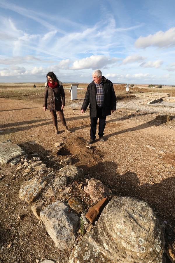 La falta de vigilancia permanente en la antigua ciudad romana, que solo está excavada en una décima parte, hace que haya sido expoliada ocho veces en los últimos once años. Casas de Reina, con 194 habitantes, reclama auxilio. Cincuenta y cuatro es el número de agujeros que sangran el suelo en el que está, gran parte oculta, la antigua ciudad romana de Regina Turdulorum, a 105 kilómetros de Mérida y a unos 150 de Córdoba. Son las perforaciones realizadas por los expoliadores que la pasada semana se dieron una vuelta, como suelen hacer con frecuencia, por la joya arqueológica de la Campiña Sur extremeña prácticamente inédita.