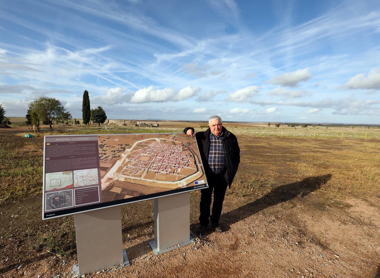 La falta de vigilancia permanente en la antigua ciudad romana, que solo está excavada en una décima parte, hace que haya sido expoliada ocho veces en los últimos once años. Casas de Reina, con 194 habitantes, reclama auxilio. Cincuenta y cuatro es el número de agujeros que sangran el suelo en el que está, gran parte oculta, la antigua ciudad romana de Regina Turdulorum, a 105 kilómetros de Mérida y a unos 150 de Córdoba. Son las perforaciones realizadas por los expoliadores que la pasada semana se dieron una vuelta, como suelen hacer con frecuencia, por la joya arqueológica de la Campiña Sur extremeña prácticamente inédita.
