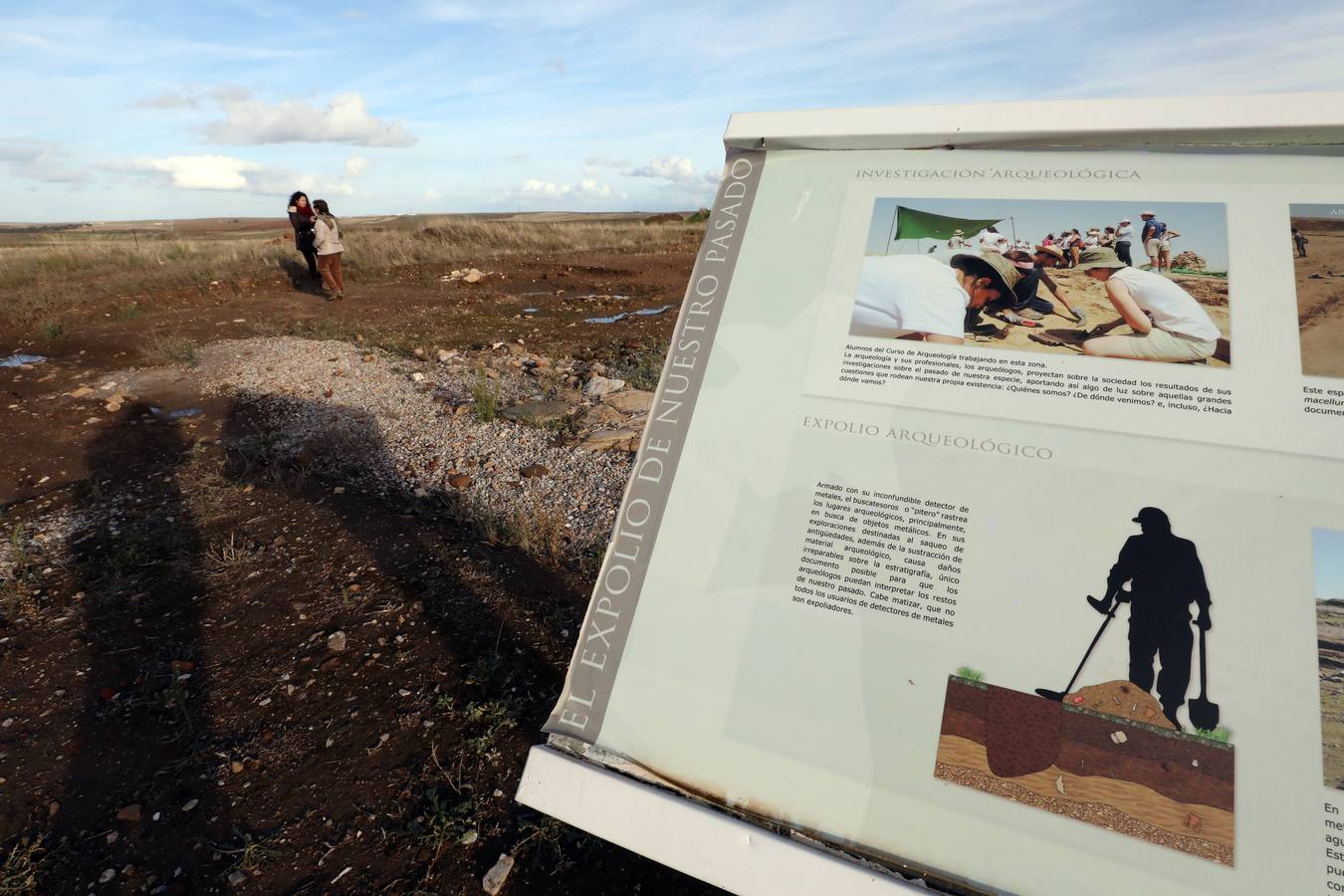 La falta de vigilancia permanente en la antigua ciudad romana, que solo está excavada en una décima parte, hace que haya sido expoliada ocho veces en los últimos once años. Casas de Reina, con 194 habitantes, reclama auxilio. Cincuenta y cuatro es el número de agujeros que sangran el suelo en el que está, gran parte oculta, la antigua ciudad romana de Regina Turdulorum, a 105 kilómetros de Mérida y a unos 150 de Córdoba. Son las perforaciones realizadas por los expoliadores que la pasada semana se dieron una vuelta, como suelen hacer con frecuencia, por la joya arqueológica de la Campiña Sur extremeña prácticamente inédita.