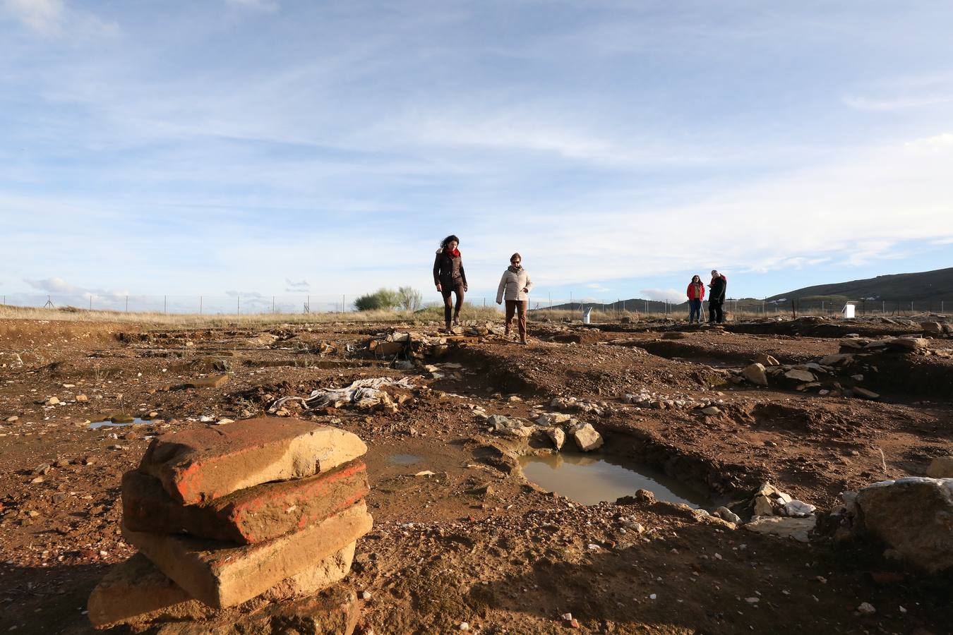La falta de vigilancia permanente en la antigua ciudad romana, que solo está excavada en una décima parte, hace que haya sido expoliada ocho veces en los últimos once años. Casas de Reina, con 194 habitantes, reclama auxilio. Cincuenta y cuatro es el número de agujeros que sangran el suelo en el que está, gran parte oculta, la antigua ciudad romana de Regina Turdulorum, a 105 kilómetros de Mérida y a unos 150 de Córdoba. Son las perforaciones realizadas por los expoliadores que la pasada semana se dieron una vuelta, como suelen hacer con frecuencia, por la joya arqueológica de la Campiña Sur extremeña prácticamente inédita.