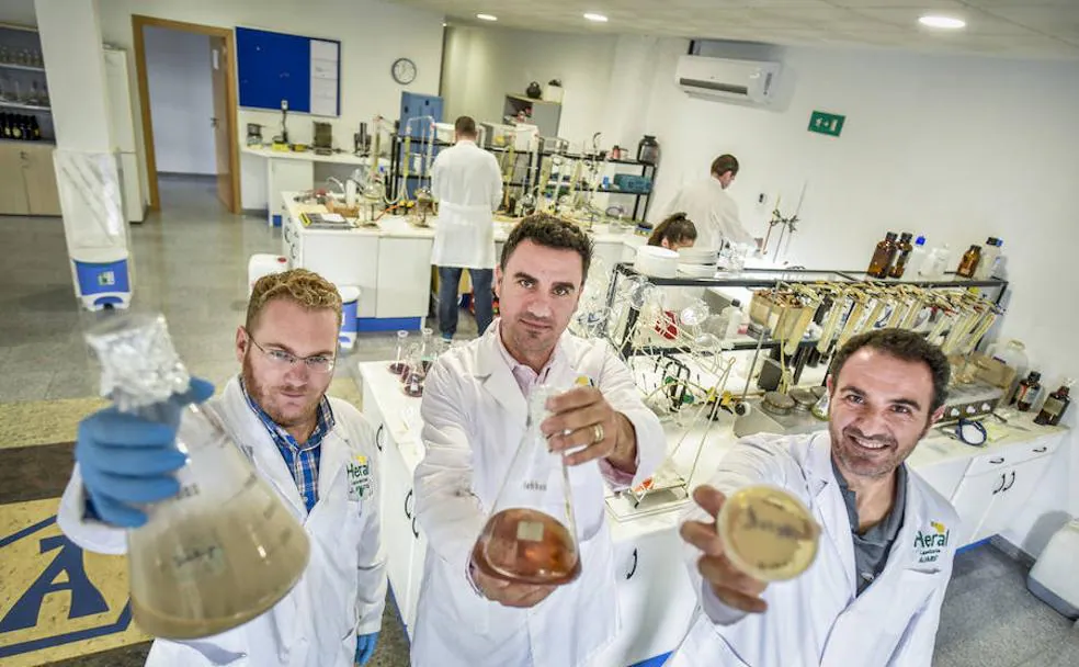 Joaquín Frutos, Pedro Alvárez y Manuel Alvárez con la levadura en diferentes estadios del proceso de reproducción en la sede de Laboratorios Heral