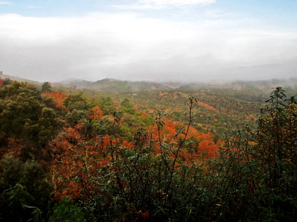 Espectacular paisaje que nos brinda el entorno de la Reserva Regional de Caza de Cijara, enclavada en la Siberia extremeña, más concretamente, en los alrededores de Helechosa de los Montes.