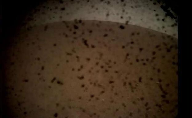 Primera foto de Marte tomada desde 'InSight'.