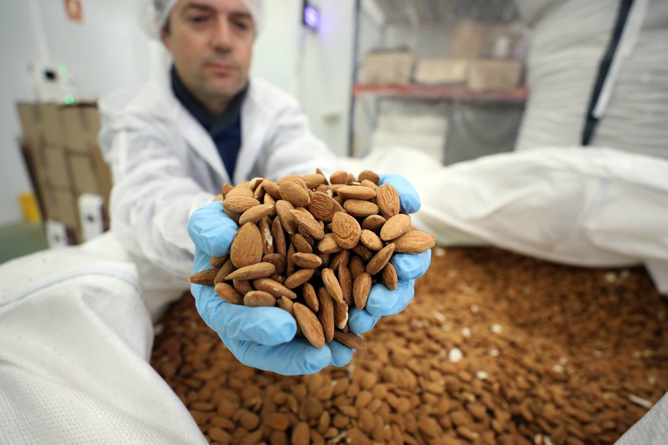 El cultivo de la almendra no alcanza su techo. La rentabilidad sigue siendo muy elevada debido a la alta demanda de un mercado que, además, aprecia singularmente la calidad de las variedades que se desarrollan en Extremadura.