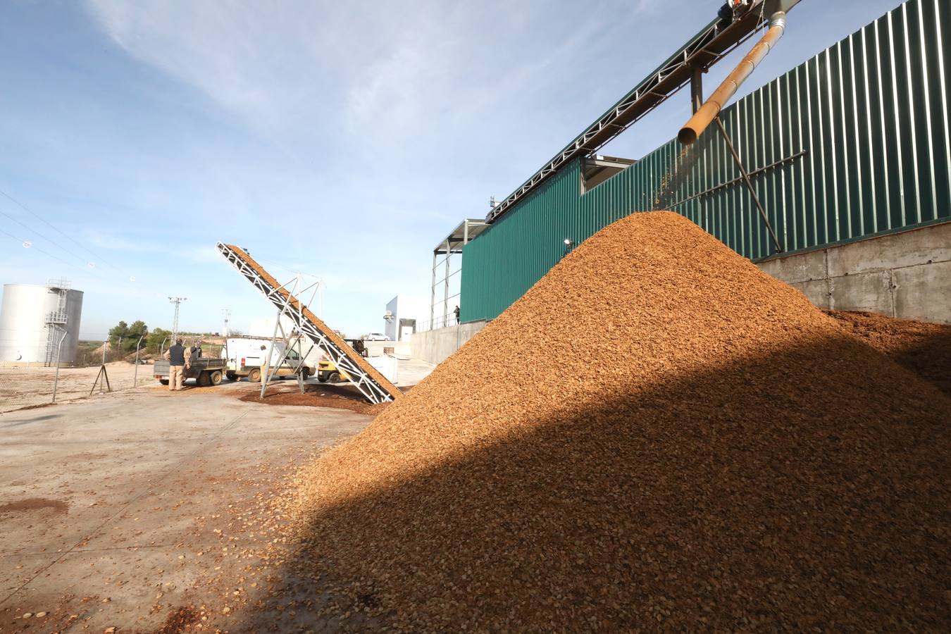El cultivo de la almendra no alcanza su techo. La rentabilidad sigue siendo muy elevada debido a la alta demanda de un mercado que, además, aprecia singularmente la calidad de las variedades que se desarrollan en Extremadura.